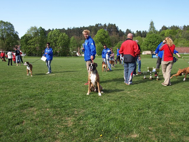 www.atibox.net * www.euroboxer.eu * www.boxergenealogia.eu